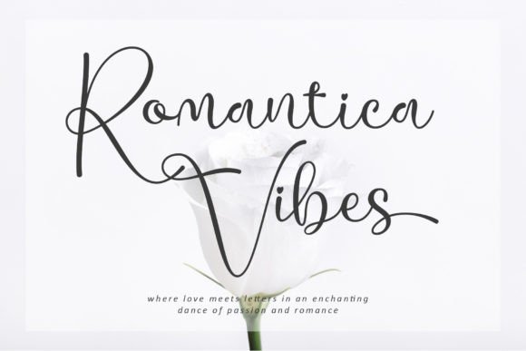 Romantica Vibes: A Script Font That Elevates Small Business Branding